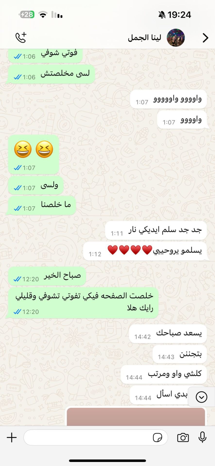 פידבק מלינא אלגמל